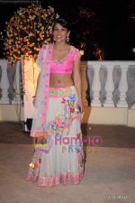 Koel Puri at  Imran Khan_s wedding reception in Taj Land_s End on 5th Feb 2011 (3)~0.JPG